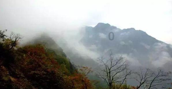 虫虫助手下载